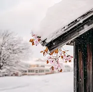 Snow-covered roof edge with blooming pink flowers hanging amid falling snowflakes.